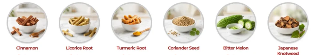 MetaFlow Ingredients